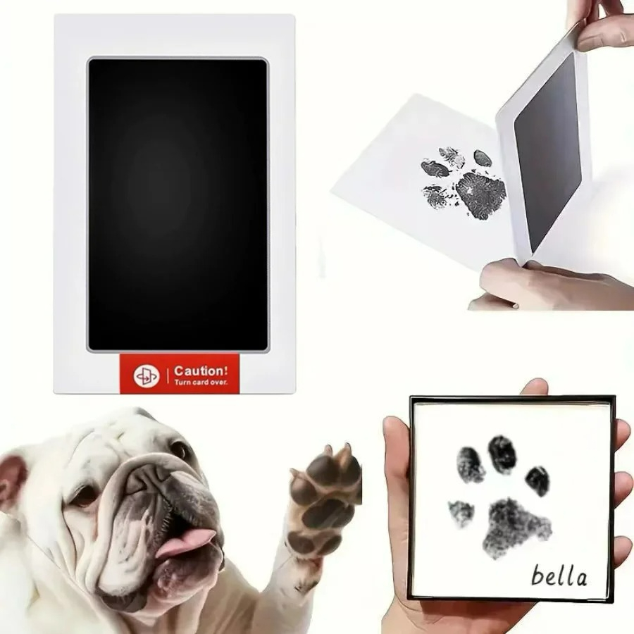 ชุดอุปกรณ์พิมพ์รอยเท้าสัตว์เลี - Footprint Ink Kit บทวิจารณ์และราคา